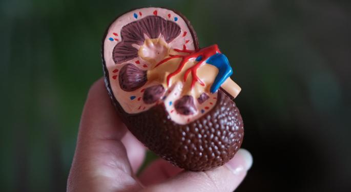 Kicking Opioids For Cannabis? Navigating Kidney Disease Pain Management