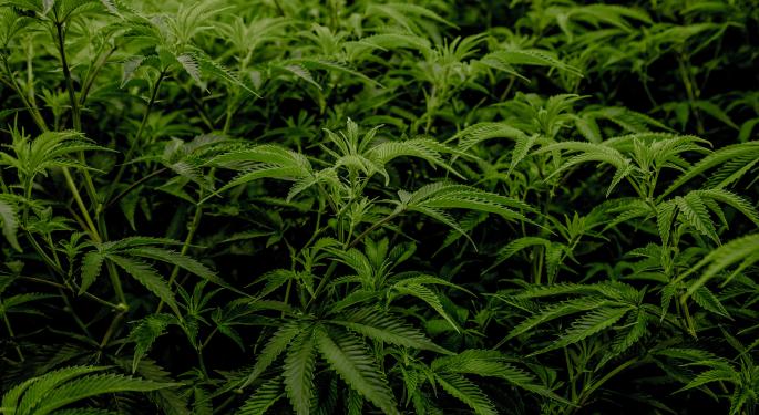 DOJ Put On Notice: Maine's Top Lawmakers Demand Swift Action On Chinese Illegal Pot Operations