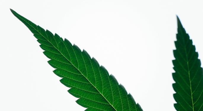 Exploring Cannabis For Cancer: Hope, Hype Or Healing? The Latest Research And Treatment Options