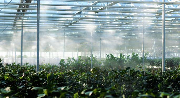 Cost-Efficiency Leads To Profits For This Cannabis Company: Positive Q2 2023 Results Tell The Story