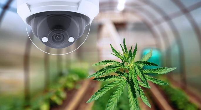 Looking To Elevate Your Cannabis Brand Online? Digital Innovation Holds The Key