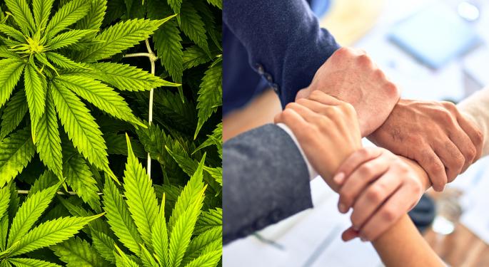 Cannabis Industry Learns Lesson As Teamsters Union Flexes Its Muscles