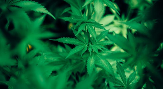 This Marijuana Company Just Bought 1.900 Acre Ranch For Cannabis Cultivation