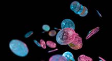 Analista de criptomonedas dice que el “fondo” de Bitcoin aún no ha llegado