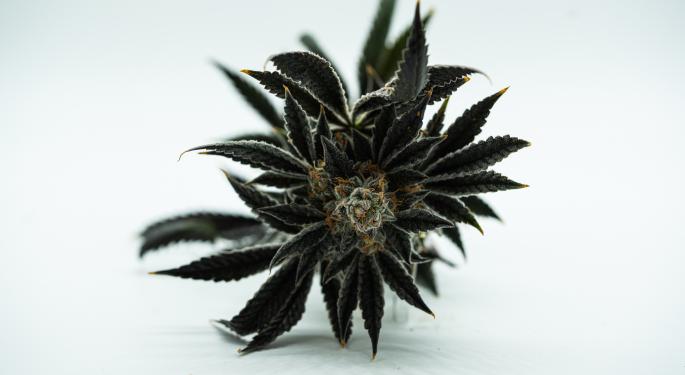 Exclusive: 4Front Ventures Teams Up With The Weldon Project To Push For Federal Cannabis Reform