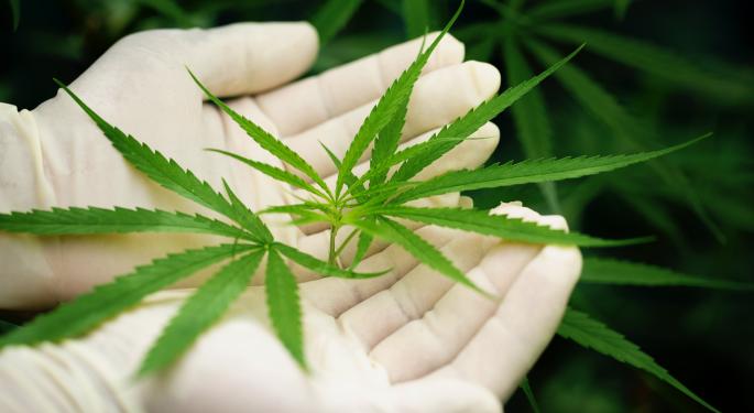 Canadian Study Reveals Link Between Heavy Cannabis Use And Increased Risk Of Heart Problems