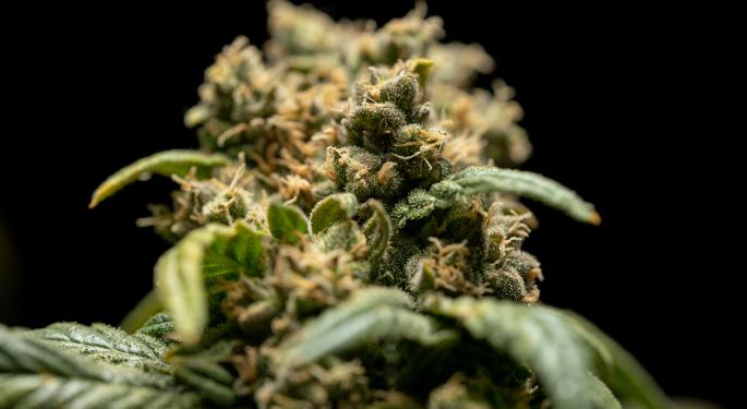 Cannabis Reg Update: Oklahoma Medical Marijuana Dispensaries Fined, Denver's Weed-Friendly Ghost Tour & More