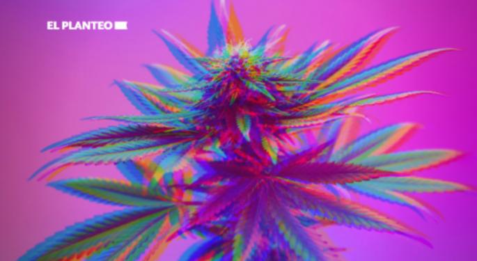 Entourage Effect: Main Driver Of Cannabis Psychoactivity Beyond THC Potency, New Study Reveals
