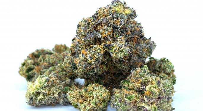 New Cannabis Products Energize Global Health & Wellness Market, Including Australia