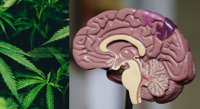 Tilray Medical Joins Fight Against Deadly Brain Tumors, Here's What's Happening