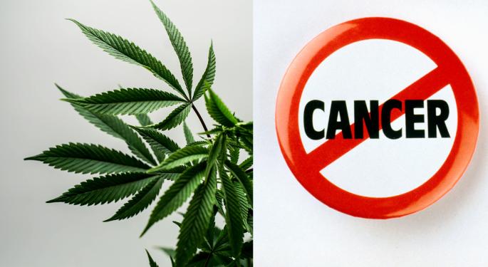 National Cancer Institute Study Looks At Cannabis Efficacy On Immunotherapy In Cancer Patients