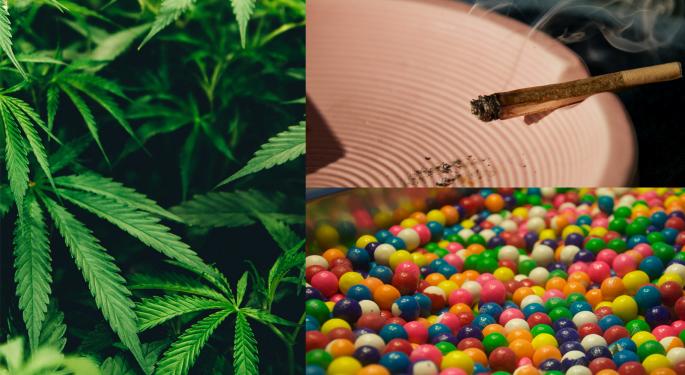 Get Into Autumn Spirit With These New Weed Chews And Blunts