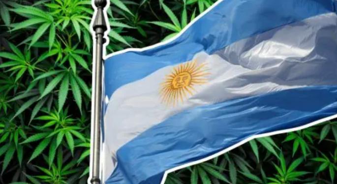 Mamá Cultiva Argentina: Navigating Medicinal Cannabis Amid Electoral Turbulence