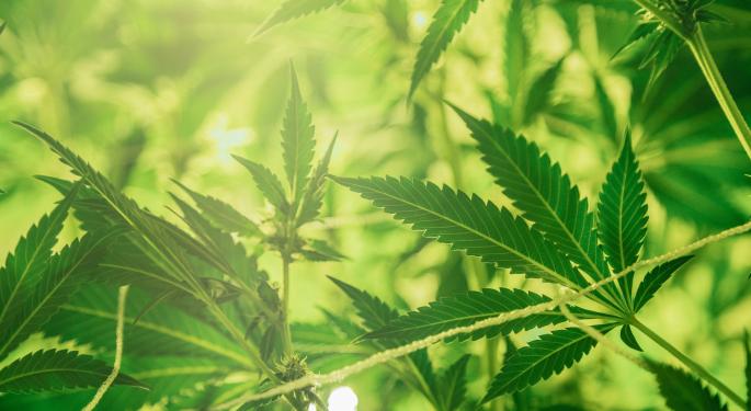 Safe Harbor Financial: Revenue Soars 82.11%, Processed $1B In Cannabis-Related Funds This Year
