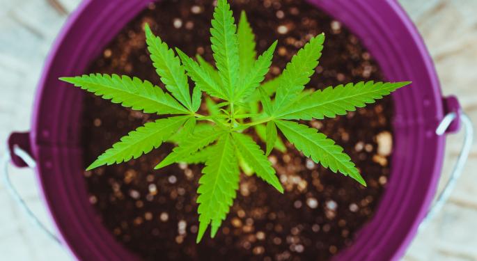 Jushi Holdings: Revenue $65.4M, Improves Net Loss & EBITDA For Q3 2023 As Weed Sales Surge