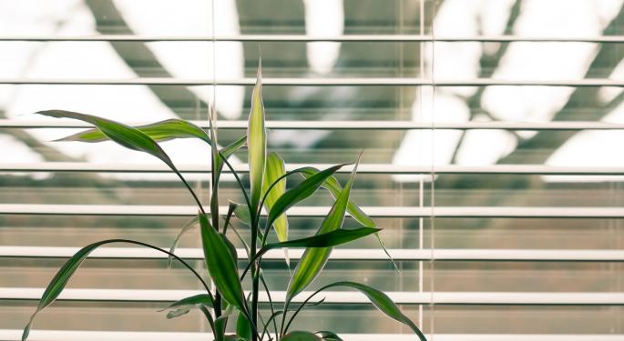 Cannabis Pot-Folio Peek: Zuanic Breaks Down Reports On Verano, TILT, MariMed And Green Thumb
