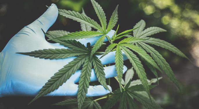 Cannabis Employee Died From Occupational Asthma, Fed Report Confirms First Such Case In US