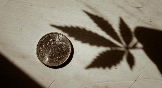 Cannabis Extracts Producer PharmaCielo Narrows Loss, Cuts Expenses In Q3, CEO Projects Higher Profitability