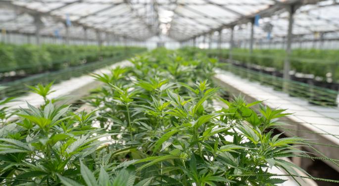 How Australian Cannabis Brands Can Enter Europe