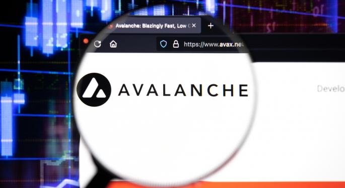 Will This Meme Coin Make You Rich? Avalanche's Mystery Collection Could Change Your Fortune