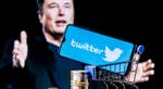 Verificato, negato: Elon Musk regala la spunta di Twitter