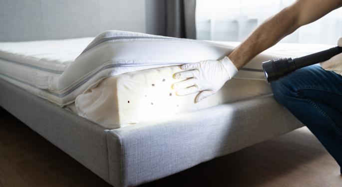 South Koreans Grapple With Bed Bug Infestations After France, UK Overwhelmed: 'I'd rather have...Covid'