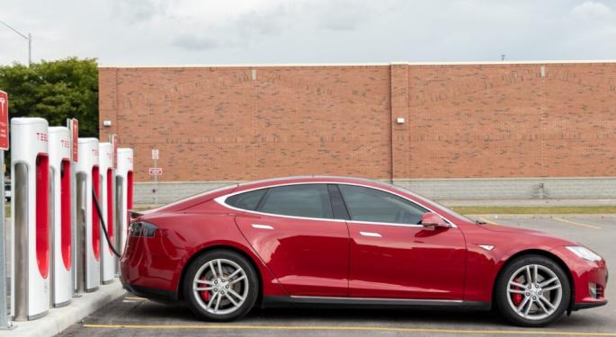 Elon Musk's Tesla Boasts About 'Strong' Roof In Response To Model Y Owner: 'Enough To Withstand Adult Elephant'