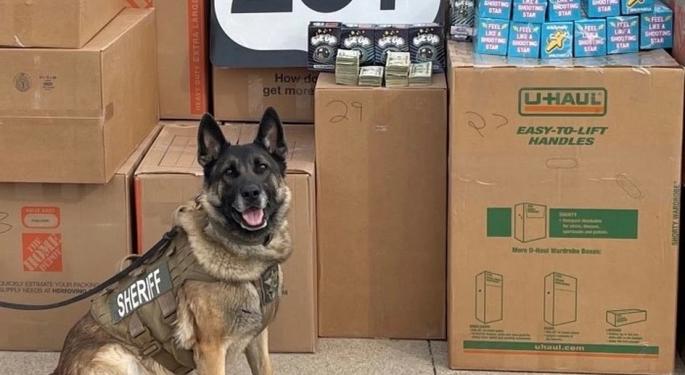 U-Haul Is Hauling A Lot Of Illegal Cannabis Shipments These Days — Thanks To Renters