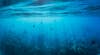 Búsqueda del submarino Titanic: quedan pocas horas de oxígeno