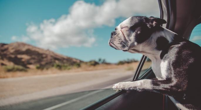 Elon Musk Comes To The Rescue Of Man Whose Pooch Keeps Opening His Tesla's Window, Agrees To Enhance Pet Safety In 'Dog Mode