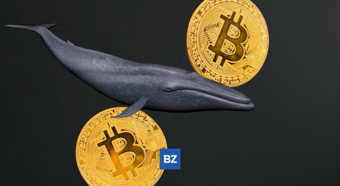 Anonymous Bitcoin Whale Just Moved $20M Worth Of BTC Off Kraken