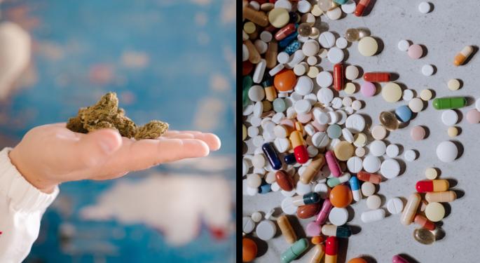 219M People Worldwide Consume Marijuana As Opioids Cause Greatest Harm, Confirms New UN Report