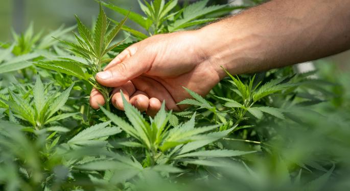 Hemp Should Be Deemed Compliant Unless It Exceeds 1% Total THC, 1 Of 7 Objectives For New Farm Bill