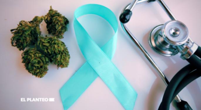 Cannabis Significantly Improves Symptoms For Most Cancer Survivors, Confirms New Study