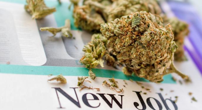 Cannabis Jobs In 2024: Career Opportunities, Key Players And Industry Trends For Job Seekers