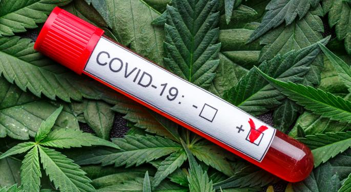 Cannabis And Covid: Preventive And Long-Term Therapeutic Approach Revealed In New Study