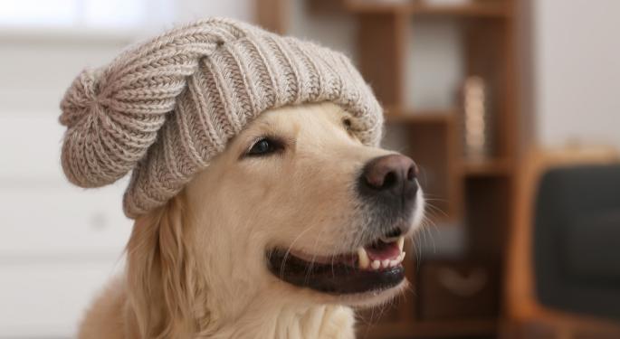 Dogwifhat On Fire With 125% Gains After ByBit Listing: 'WIF Is The Next BONK' Says Analyst