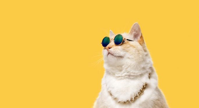 Toshi, Coinbase's Meme Cat, Sparks Billion-Dollar Price Targets: 'Just Buy It And Forget It,' Exclaims Trader