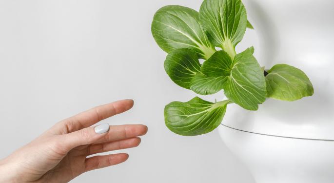 GrowGeneration Reports Q4 & 2023 Results: Sales Dip, Earns More Per Sale Thanks To Smart Product Strategy