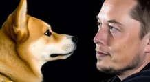 X Payments de Musk obtiene licencias y Dogecoin se dispara