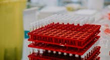 Azioni Pfizer in rialzo: studio positivo sul vaccino Abrysvo per l'RSV