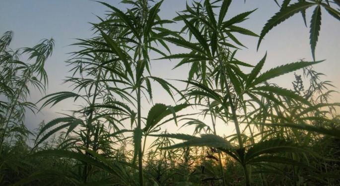 Another Cannabis Pioneer Expands In Germany Via Acquisition As Experts Say 'There's No Stepping Back' From Legalization Wave