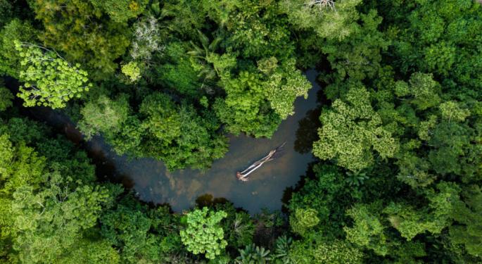 'Amazonia' Bonds Face Hurdles Amid Political Push For First-Ever Rainforest Debt