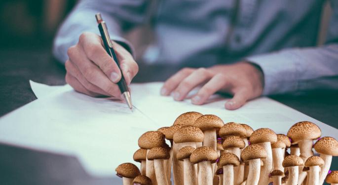 Psychedelic Productivity: Peer Pressure Or Good Career Advice?