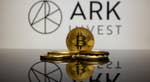 Analisi di Ark Invest di Cathie Wood sull'halving del Bitcoin