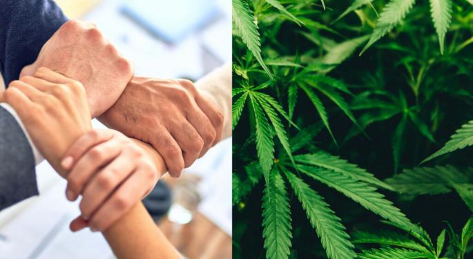 Cannabis DeUnionization: Here's What's New On The Frontlines Of Labor Organizing Among Weed Workers