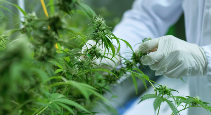DEA's Move To Reclassify Cannabis Seen As 'Significant,' But Fails To Resolve State-Federal Conflict
