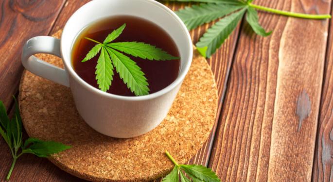 Hemp Drinks: Are They Worth The Hype?
