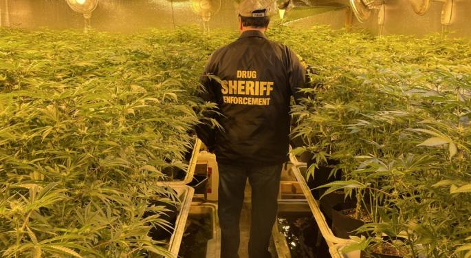 GOP Senator Presses Antony Blinken On Illicit Cannabis Operations Linked To Chinese Organized Crime Groups, Sec Of State Defers To DEA