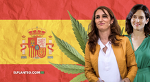 La ministra García le responde a Isabel Ayuso por sus dichos sobre el cannabis